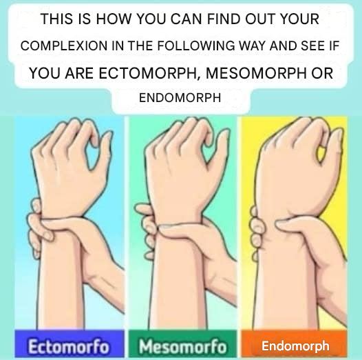 Types of Body Build: Are You an Ectomorph, Mesomorph, or Endomorph?