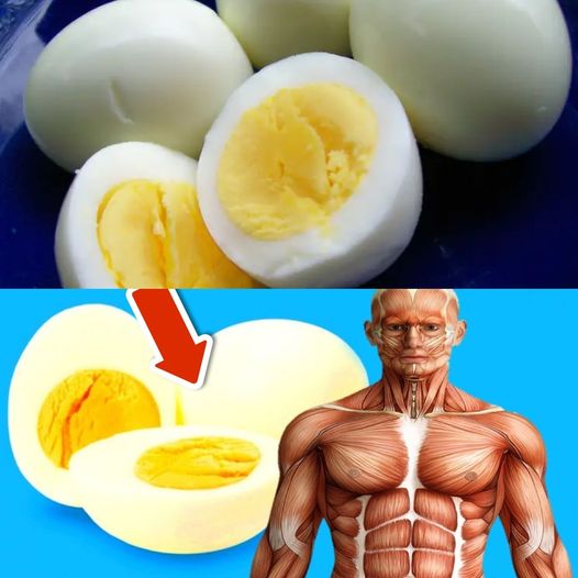 The Amazing Benefits of Eating 2 Eggs Every Morning