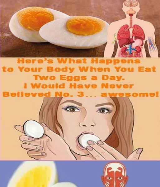 What happens if you eat two eggs a day