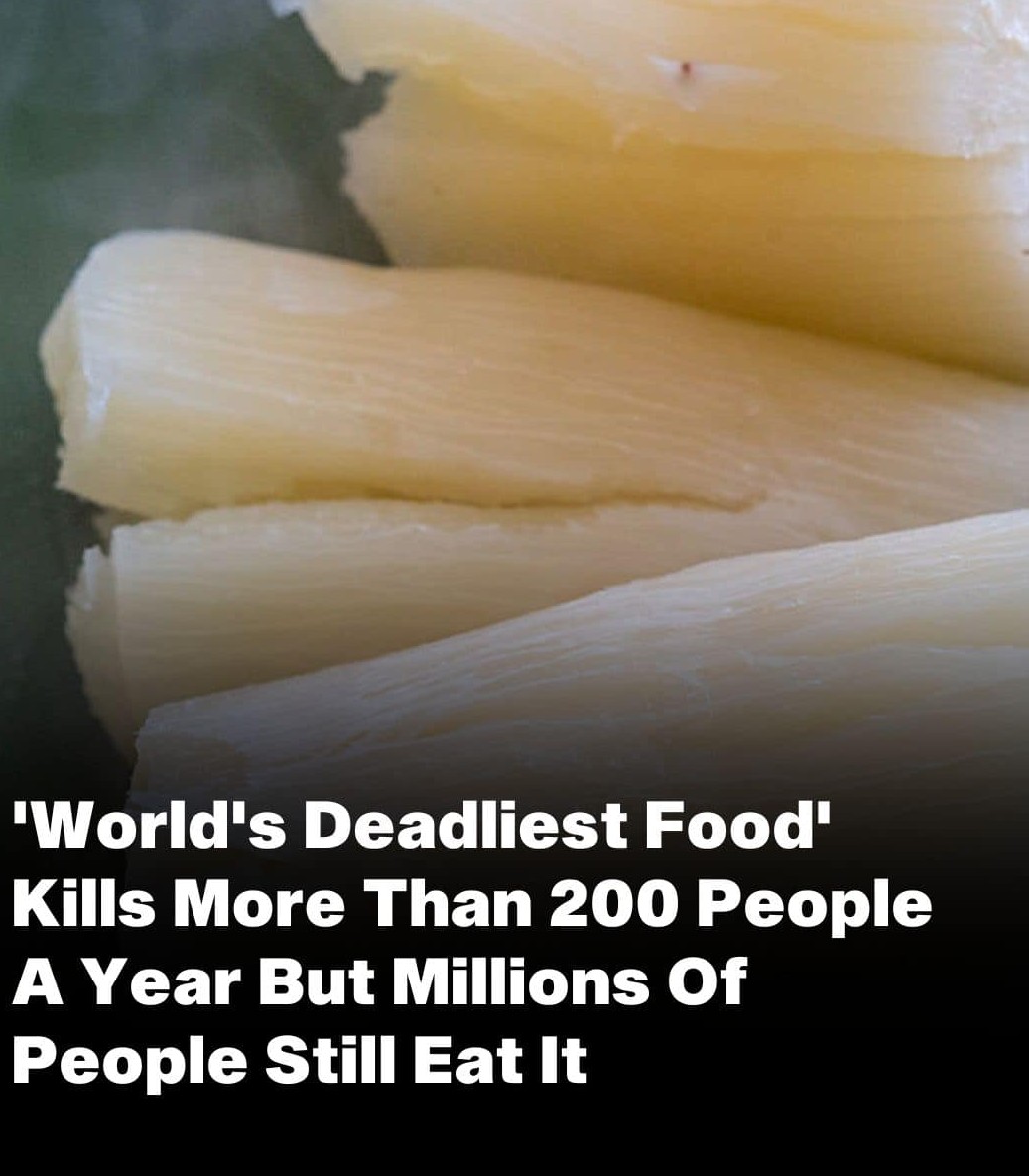 Over 200 People Are Killed By The “World’s Deadliest Food” Every Year, But Almost 500 Million People Still Eat It