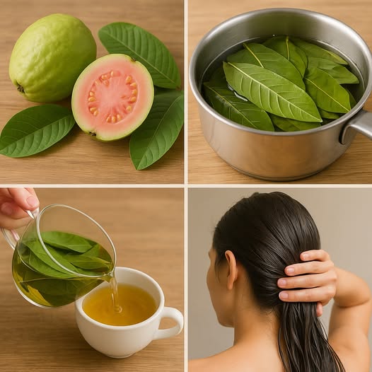 Guava: Natural Remedy for Health, Digestion, Skin Care, Immune Boost