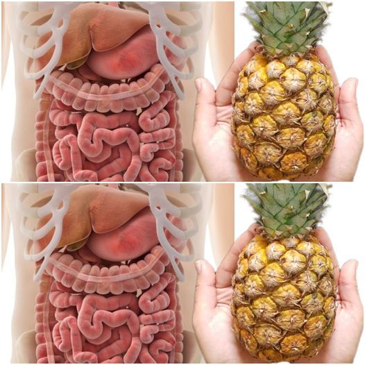 Boost Liver and Kidney Health with Ananas Detox Drink