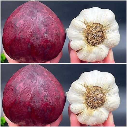 Boost Your Health with Beetroot and Garlic Benefits
