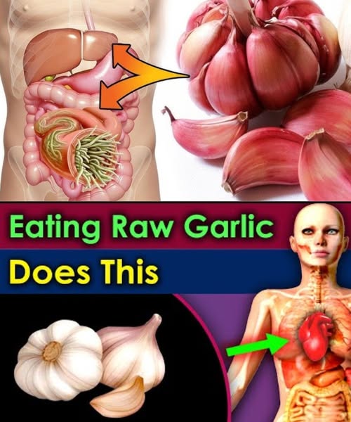 Benefits of Eating Raw Garlic for Health and Wellness
