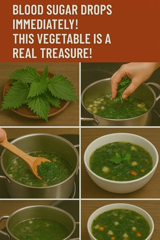 Benefits of Nettle for Blood Sugar: A Natural Approach