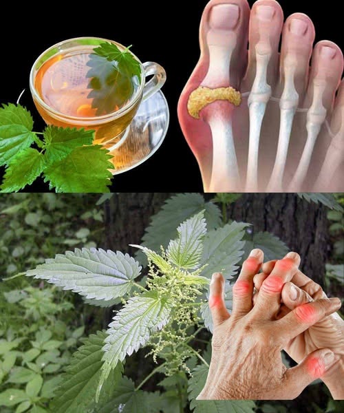 Ginger Lemon Tea for Lowering Uric Acid Naturally