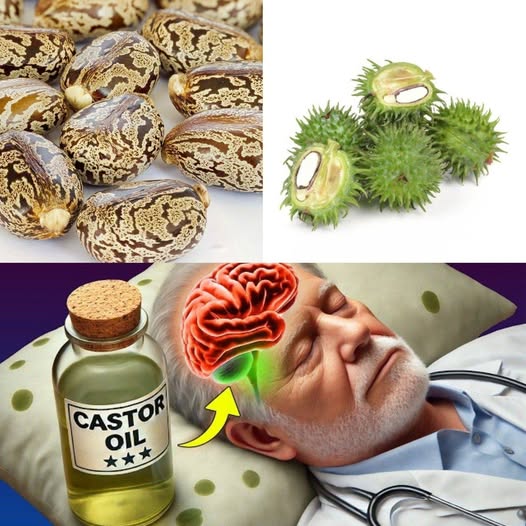 Castor Oil Benefits for Health After 50 You Should Know
