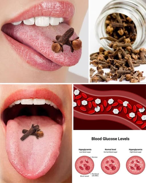 Why Chewing Cloves Can Improve Your Health and Well-Being