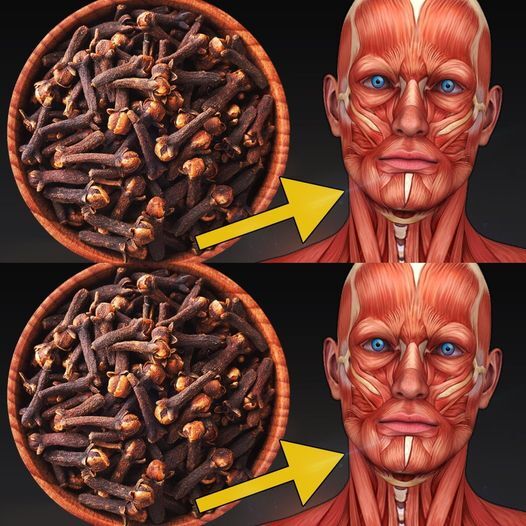 Clove Benefits: Nature’s Powerful Remedy