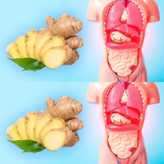 Ginger Benefits: Nature’s Ultimate Remedy
