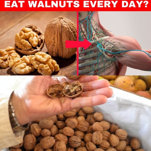 Walnut Benefits: Why You Should Eat Them Daily