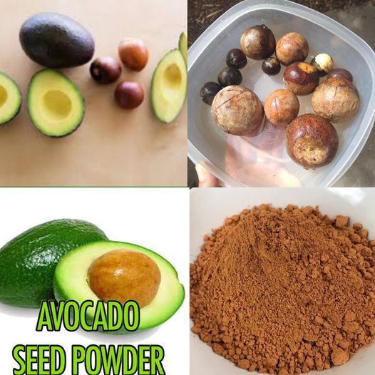 Avocado Seed Benefits: Don’t Throw It Away!