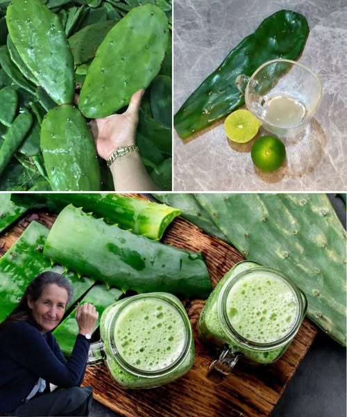 Lemon & Nopal Remedy: The Ultimate Detox & Blood Sugar Regulator