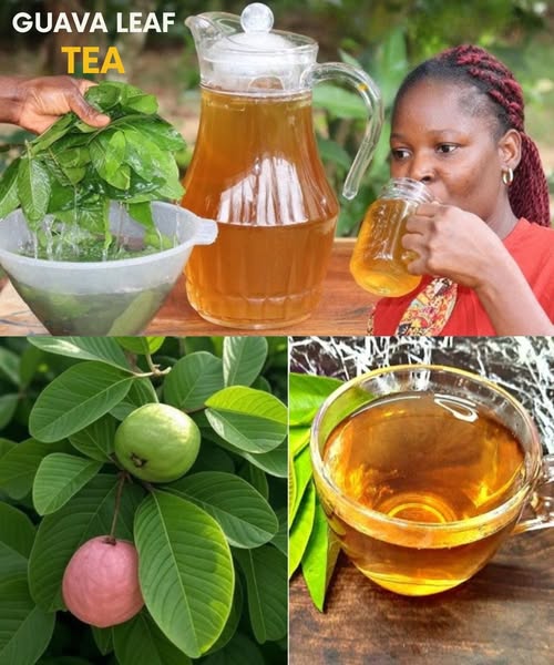 Guava Leaf Tea: The Ancient Remedy for Digestion, Blood Sugar & More