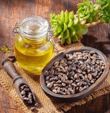 Castor Oil for Brain Health: A Simple & Powerful Remedy