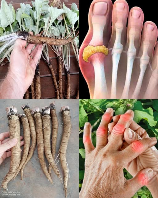 This Powerful Plant Shown to Kill Cancer Cells in 48 Hours – Backed by Scientific Studies