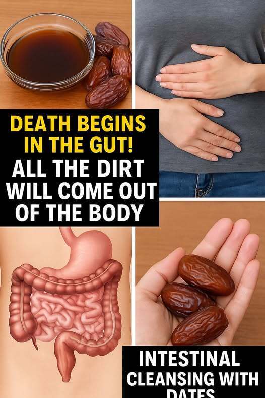 Intestinal Cleansing with Dates: A Natural Detox Diet