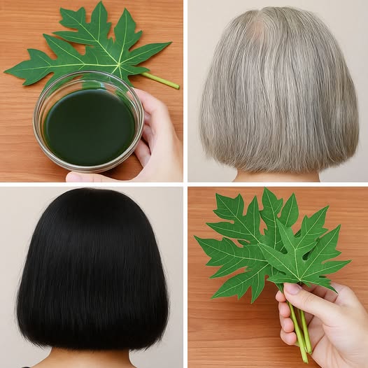 Reverse Gray Hair & Boost Growth Overnight with Papaya Leaves! (Ancient Remedy)