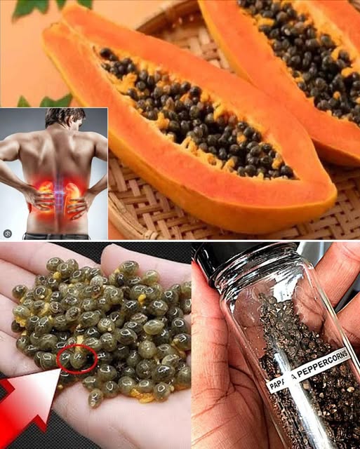 Papaya Seeds: The Bitter Powerhouse You Shouldn’t Throw Away