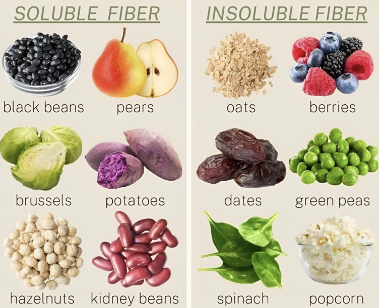 Understanding the Difference Between Soluble and Insoluble Fiber