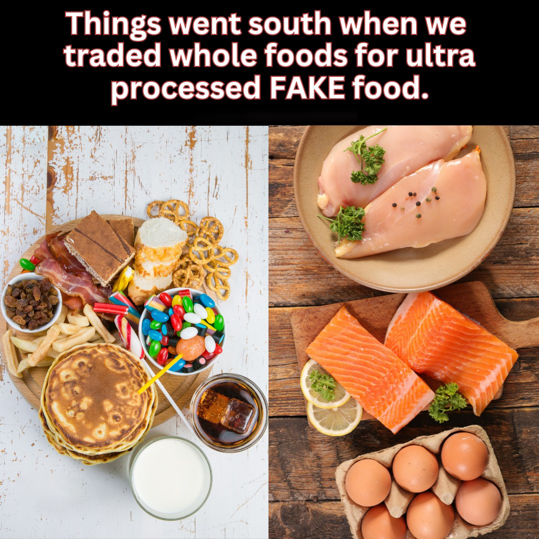 Things Went South When We Traded Whole Foods for Ultra-Processed FAKE Food