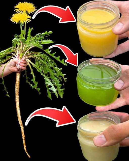 Discover the Natural Health Benefits of Dandelion Tea and More