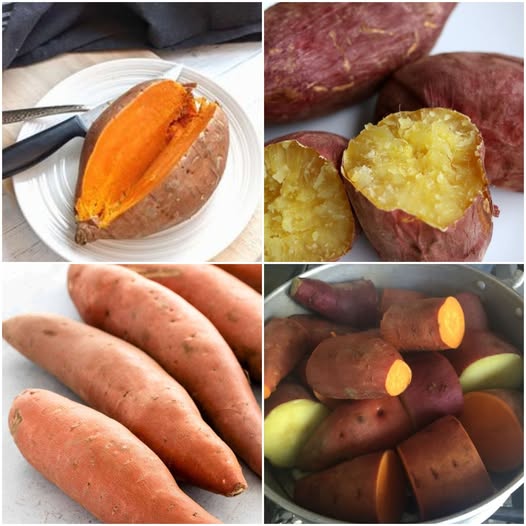 Benefits of Eating Sweet Potatoes Regularly