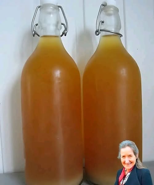 Homemade Ginger Beer – Health, Immune, Digestion, Anti-Inflammatory Benefits