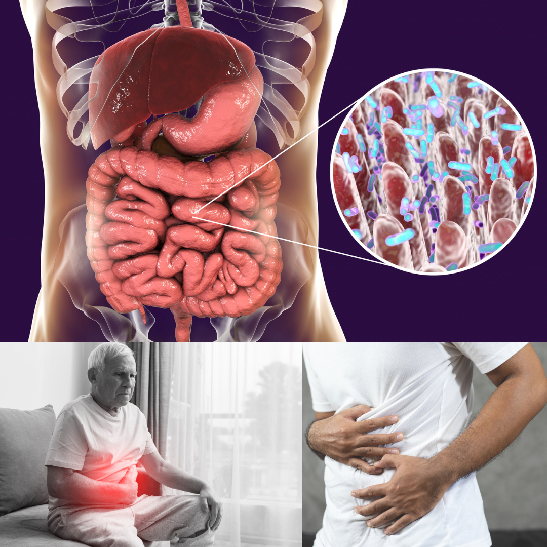 Ginger Remedies for Digestive Comfort Benefits and Preparation